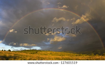 Rainbow over the forest