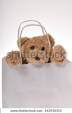 teddy bear in white paper bag isolated on white background
