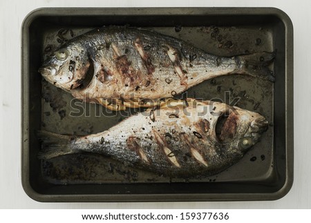 Oven cooked gilt head fish