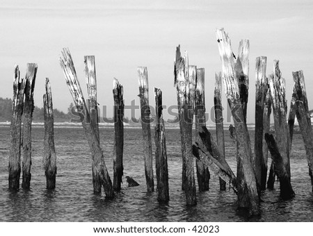 Remains of an old dock