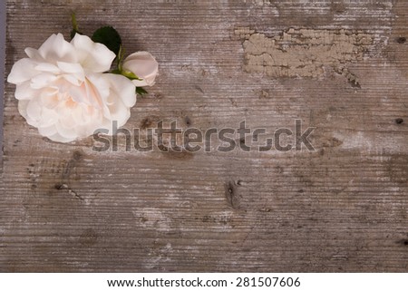 Floral frame with white peonies on wooden background