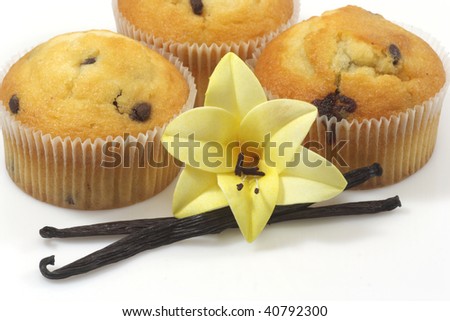 Muffins with vanilla beans on bright background