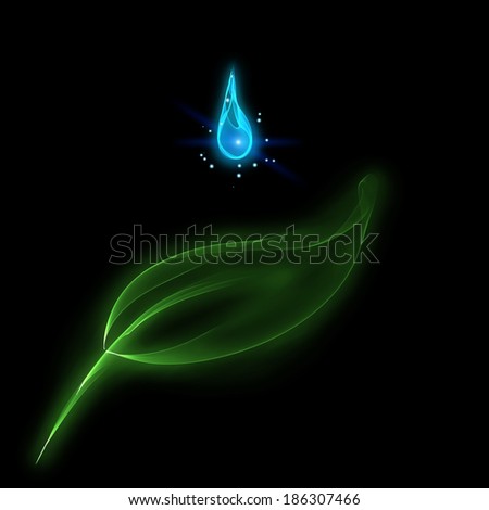 abstract leaf and water drop