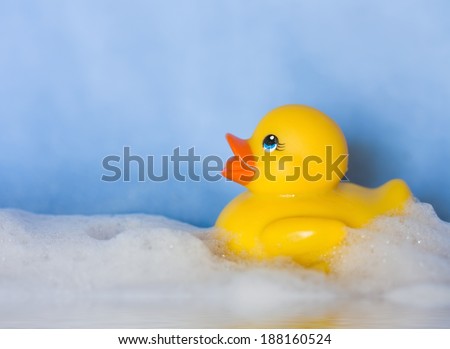 yellow rubber toy duck in foam
