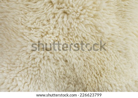 fur texture old white sheepskin