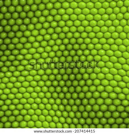 Reptile skin texture background abstract for design and decorate