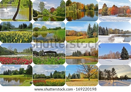 Four seasons  - spring, summer, autumn, winter - collage