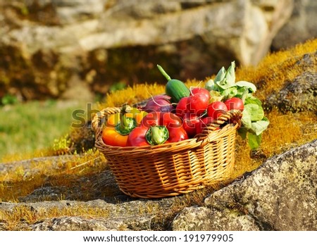 Vegetables in the basket - healthy food