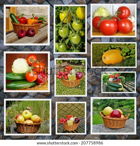 Vegetables and fruits  - healthy food, vitamins - photo collage