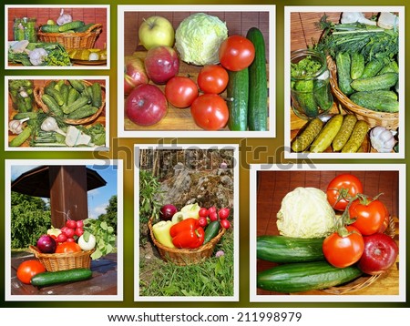 Vegetables  - healthy food, vitamins - photo collage