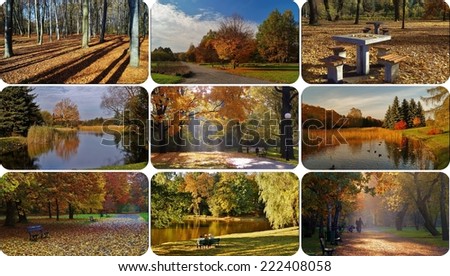 [Obrazek: stock-photo-the-colors-of-autumn-boat-ph...408058.jpg]