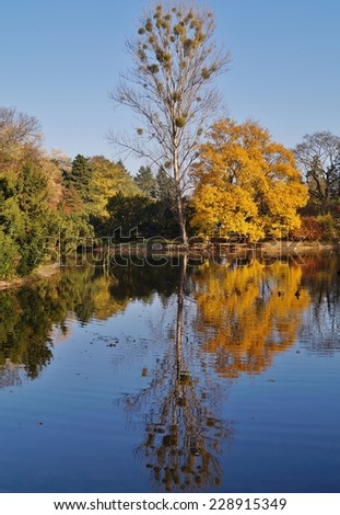 Autumn scenery - autumn pond in park - city Lodz