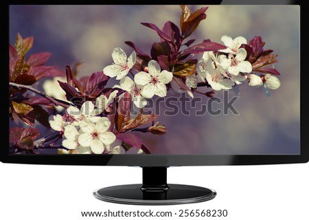 'Flowering tree - Spring  in the media,photomontage