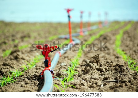 Field crops and irrigation system.. Agricultural irrigation equipment