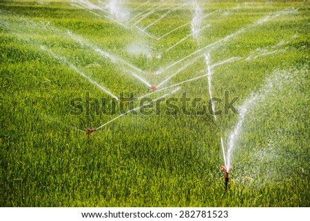 Irrigation system on a industrial farm