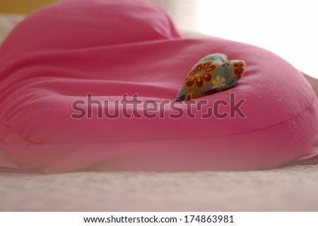 Small floral patterned heart bean bag nestled into bigger soft pink heart pillow in front of bright window