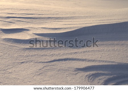 Dunes of drifting snow catching early morning light
