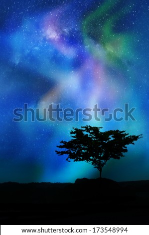 Multicolored northern lights (Aurora borealis) with alone tree