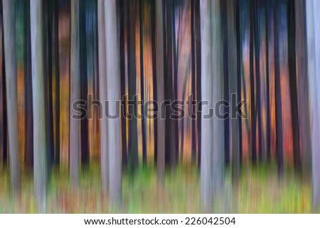 Abstract colorful sunset enchanted forest, streak effect