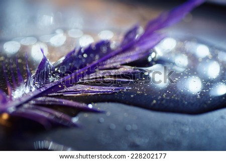 Artistic composition of purple feather on wet surface, gold glitter