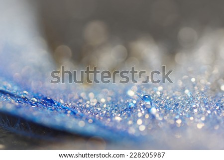 Fine mist water drop on blue feather, bokeh background