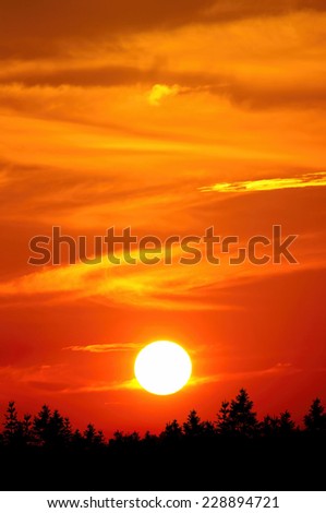 Dramatic cloudscape summer orange sunset, pine forest Quebec