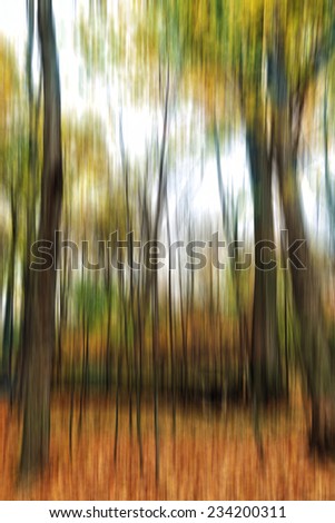 Abstract colorful enchanted forest, streak effect, fall season