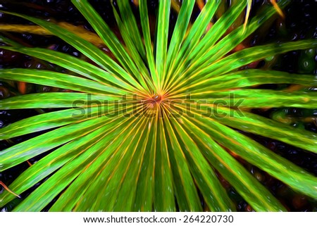 Digital oil paint art, Abstract tropical nature: exotic green palm tree leaf