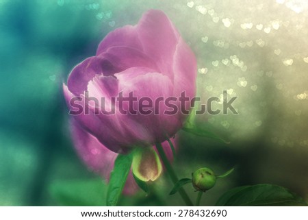 Digital art, paint effect , pink rose flower, heart bokeh light background