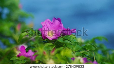 Digital art, paint effect, Pink wild rose, sea background (Dog roses)