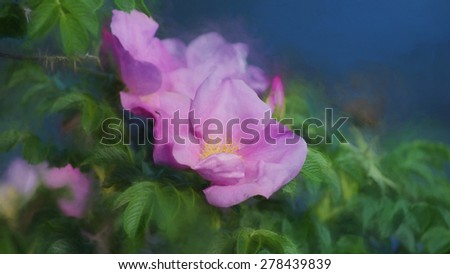 Digital art, paint effect, Pink wild rose, sea background (Dog roses)