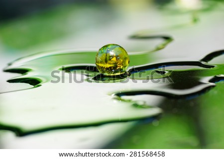 Artistic composition of yellow marble, green wet surface, reflection