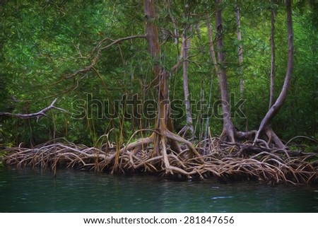 Mangrove, Los Haitises National Park, Bird Island, Dominican Republic, digital art, paint effect