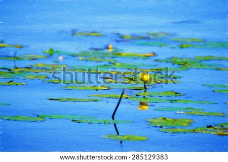 Digital art, watercolor paint effect, waterlily in pond, reflection in water
