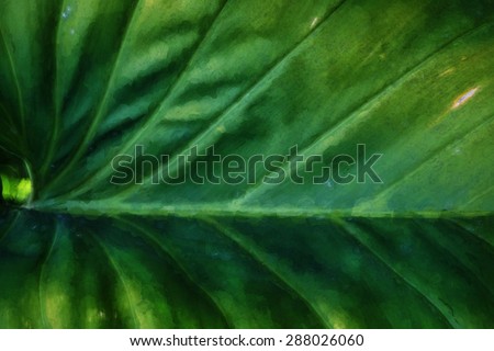 Digital art, paint effect, exotic macro green palm tree leaf
