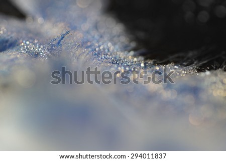 Fine mist water drop on blue feather, bokeh background