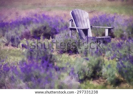 Digital art, artistic paint effect, adirondack old purple chair, on lavender flowers field