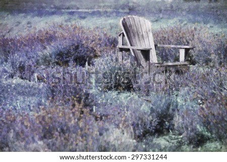 Digital art, artistic paint effect, adirondack old purple chair, on lavender flowers field