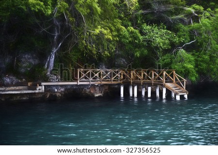 Mangrove, Los Haitises National Park, Bird Island, Dominican Republic