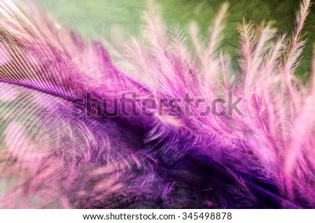 Digital art, Artistic Macro of pink fluffy feather grunge, textured