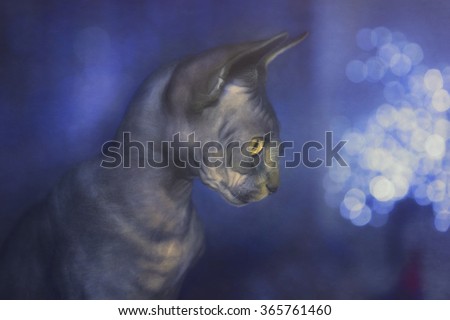 Digital art, paint effect, Portrait of Baby Sphynx cat, Brown mackerel tabby, yellow eyes