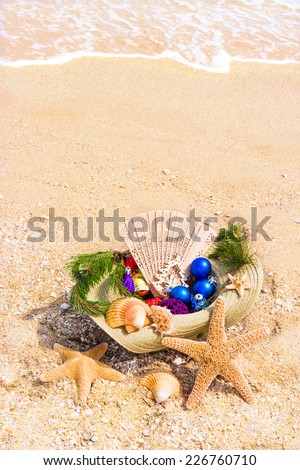 Christmas decoration with Christmas twig, shells, fan in the straw on the beach background