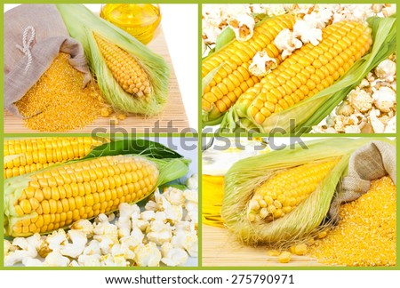 Composition from corn, oil and maize flour in flax sack on the mat isolated on white background, collage