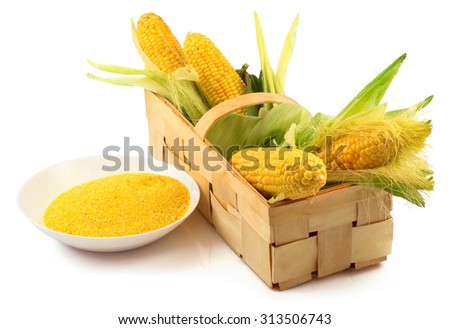 Ripe corn with green leaves and a plate of maize flour in the wooden box isolated on white background