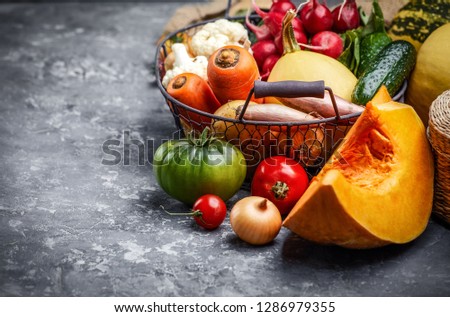 Harvest vegetables with herb kitchen garden on grey concrete surface top view. Healthy food and vegan food still life garden inventory.