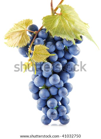 blue grape fruits with leaves isolated on white background