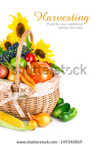 autumnal harvest vegetable and fruit in basket isolated on white background