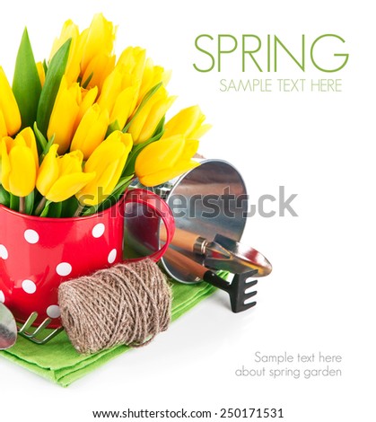 Spring flowers tulip with garden tools. Isolated on white background