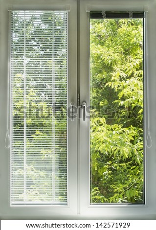 Window with blinds overlooking green garden