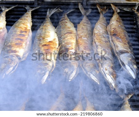 Barbecue smoked fish